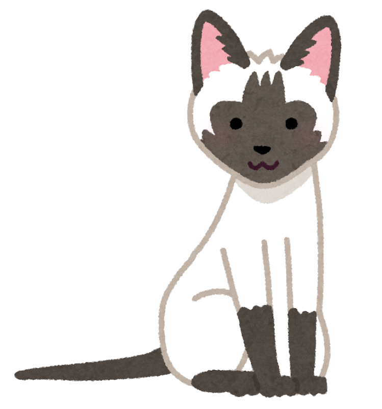 あなたのためのイラスト 50 素晴らしいイラスト 可愛い シャム 猫