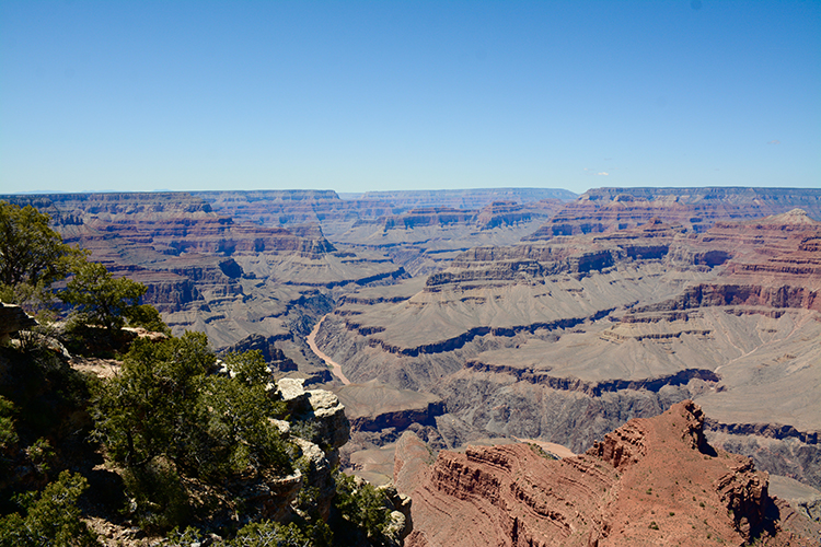 Grand Canyon - South Rim | My Darling Days Grand Canyon - South Rim | My Darling Days