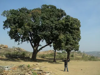 Rider waving goodbye as they depart from the serene Melukote area