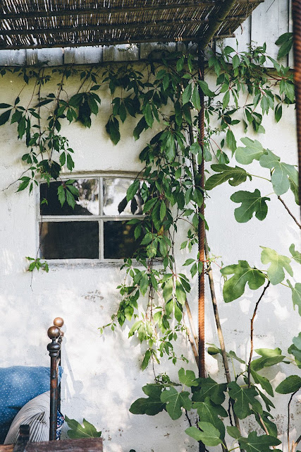 Raw cottage in Southern Sweden