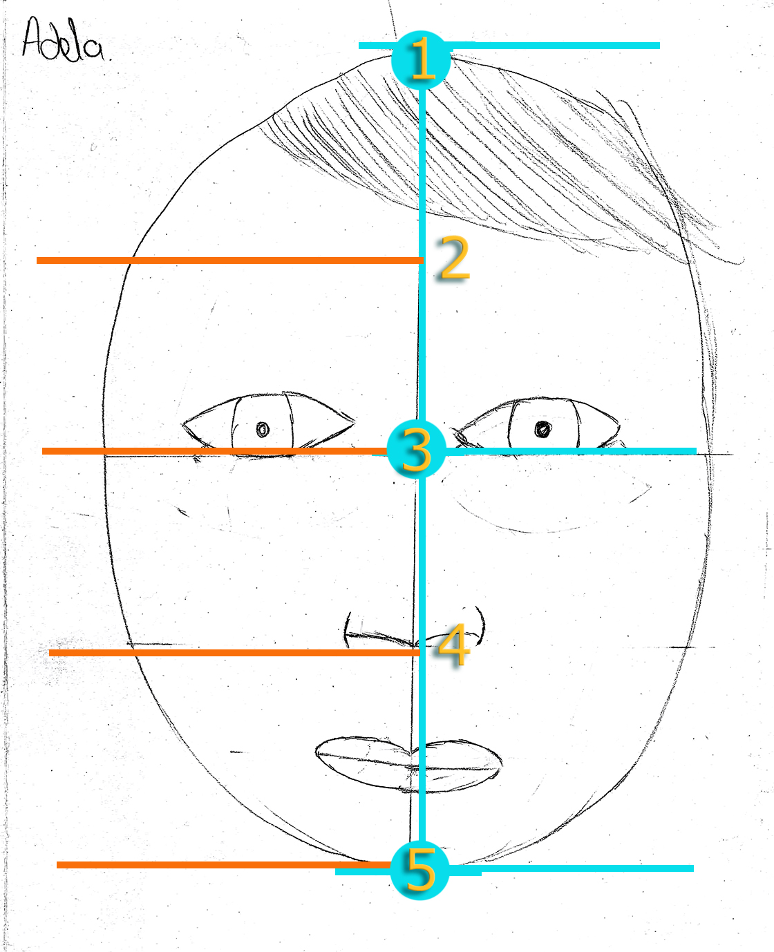 LA PROPORCIÓN EN EL ROSTRO .imagenesola imagen y la educacion plastica y visual en la educacón LA PROPORCIÓN EN EL ROSTRO .imagenesola imagen y la educacion plastica y visual en la educacón
