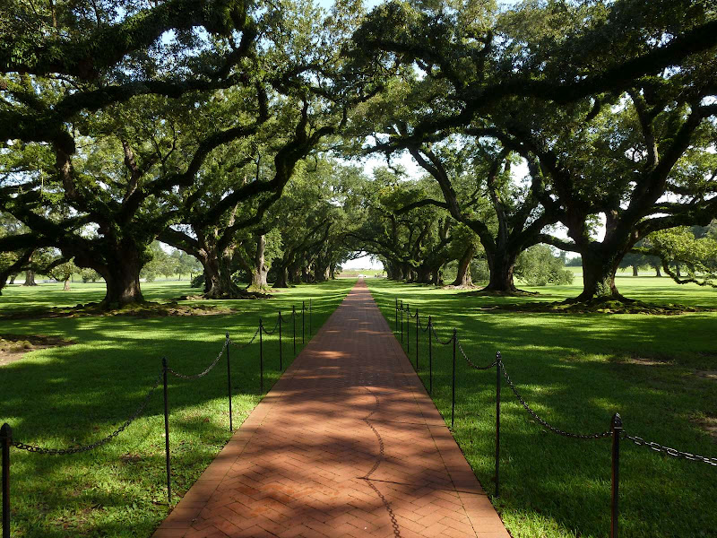 Driving me ... USA - Blogs de USA - 3: Oak Alley Plantation (4)