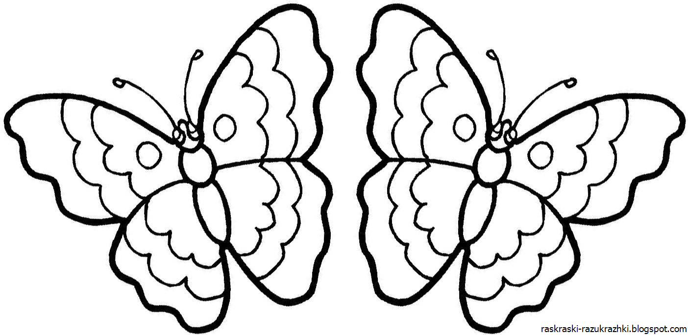 Раскраска 2 бабочки