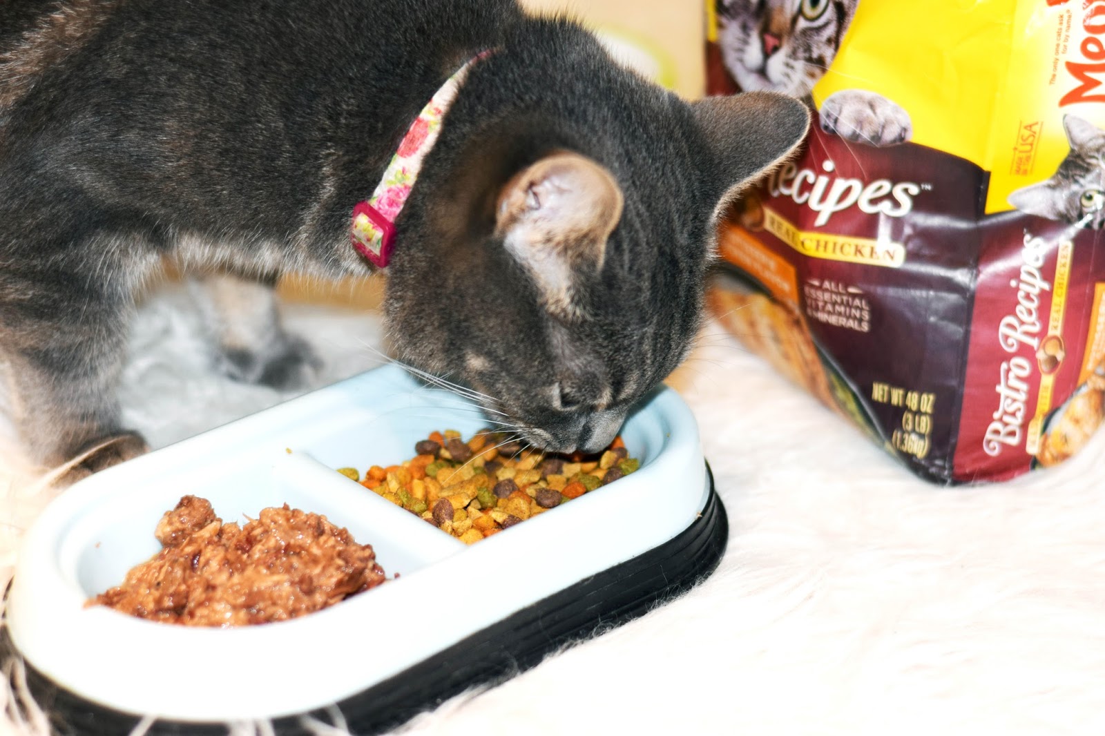Meow Mix cat food