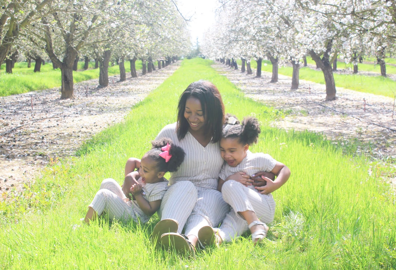 Plant New Trees High The Almond Doctor