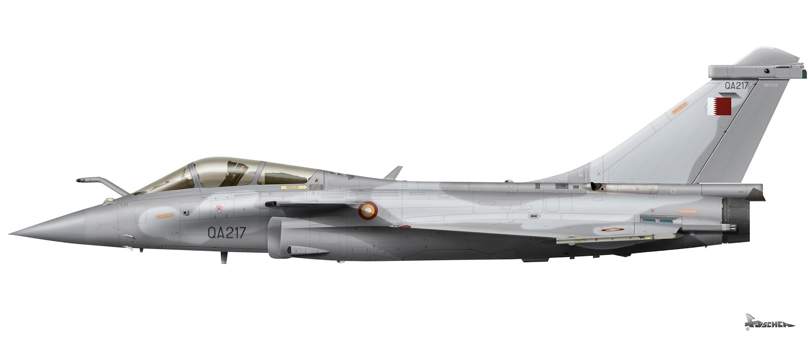 Rafale+C_QA217_Qatar.jpg