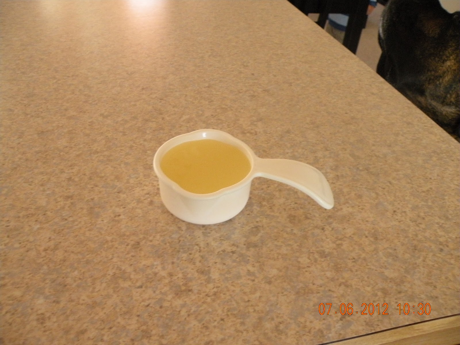 Pintology Lemon juice as a Bleach alternative