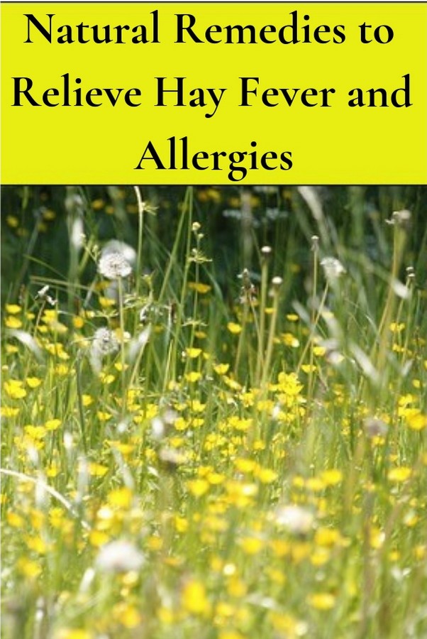 Healthy Food & Life Natural Remedies to Relieve Hay Fever and Allergies