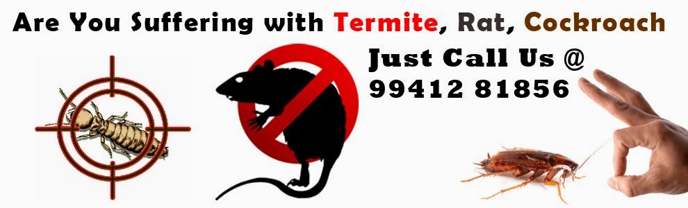 Pest Control | Termite Control | Cockroach Control | Rat Control