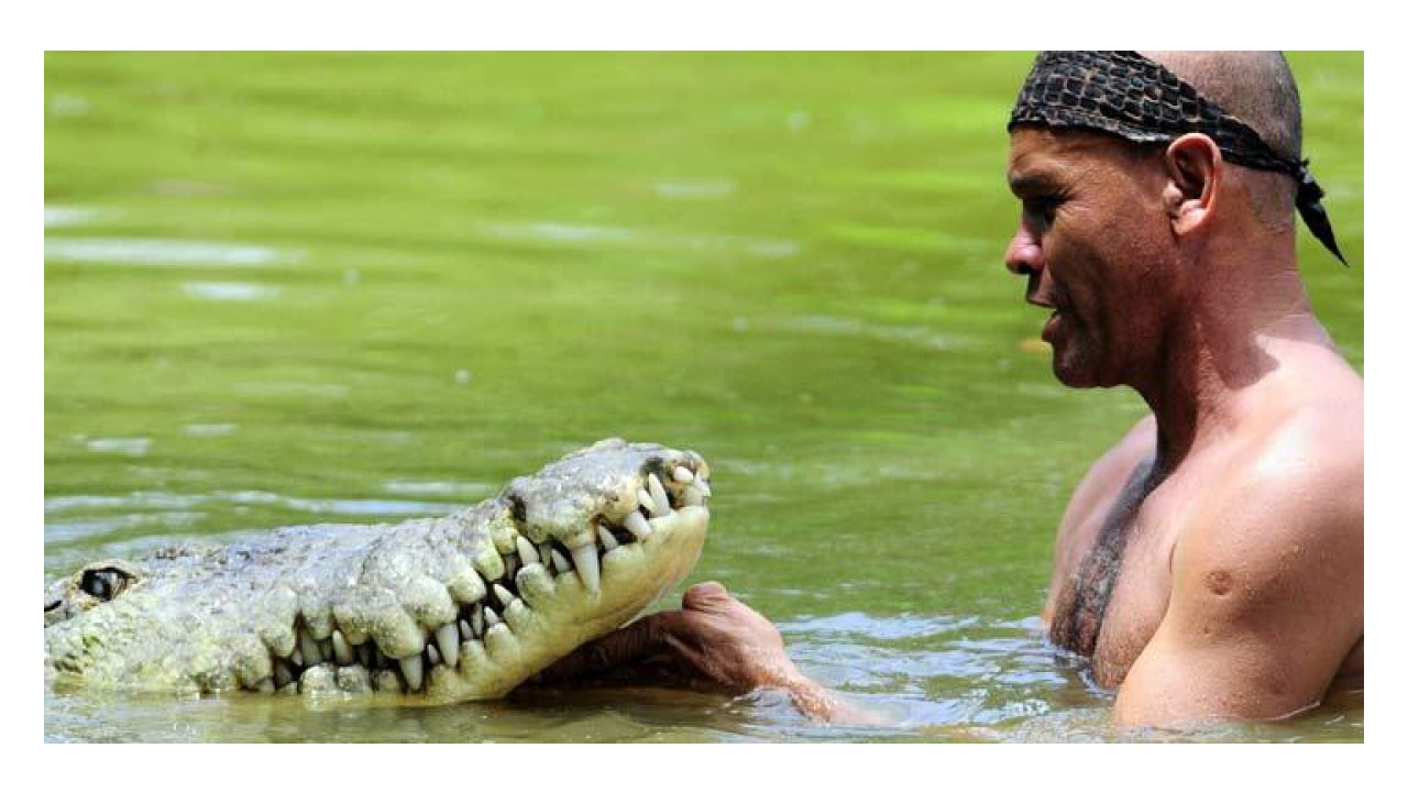 В раненую реку не войдешь. Рыбак Чито и крокодил Почо. Гильберто Седден крокодил Почо.