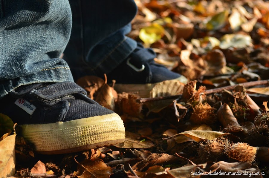 otoño desdeestelaodemimundo.blogspot.it