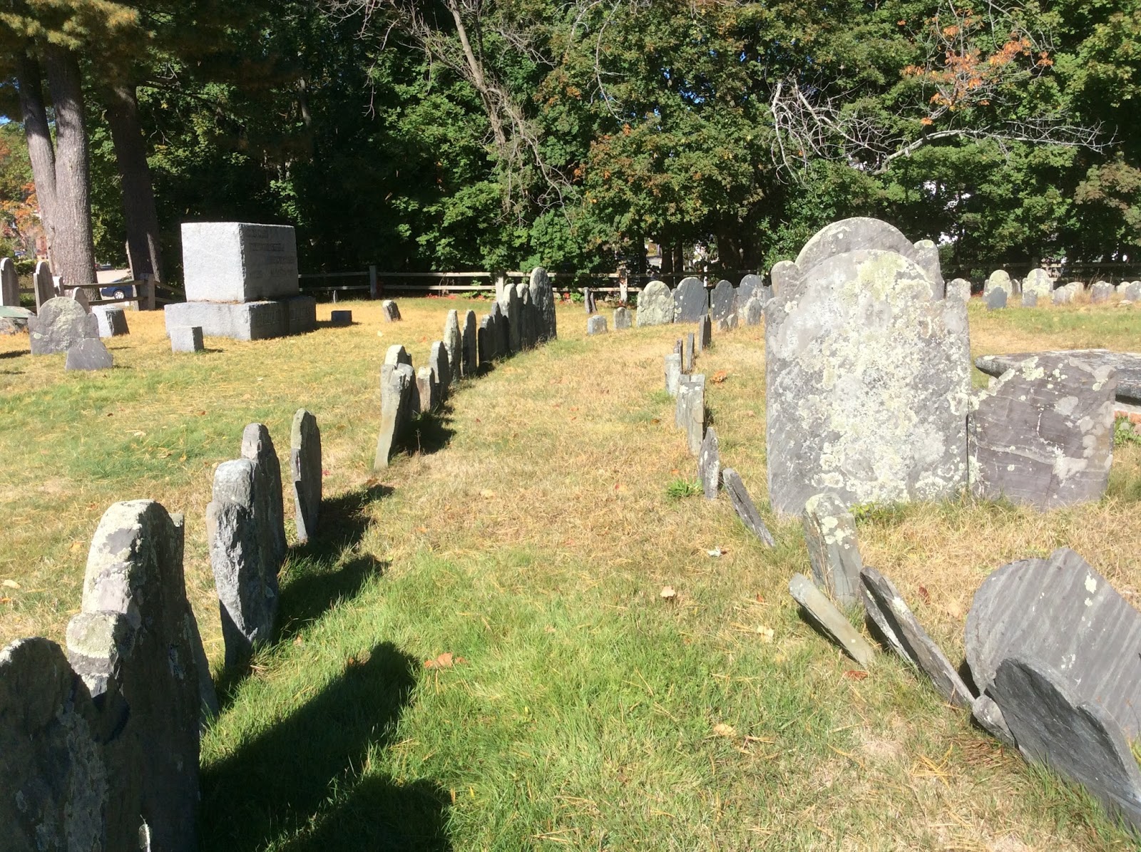 Life From The Roots How to Find a Tombstone in the Old Cemetery in