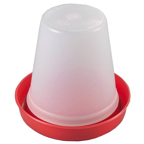 Arrangement of drinkers and feeder for broiler chicken farming