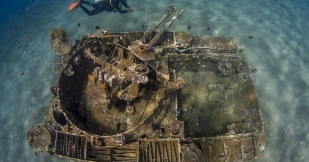 Biggest House Ever >> The Best Underwater Photos EVER Taken Show Life From A ... Biggest House Ever >> The Best Underwater Photos EVER Taken Show Life From A ...