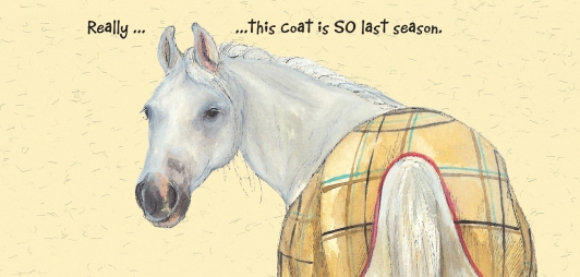 the-horse-talker-horse-birthday-cards