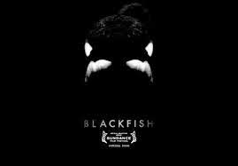 BLACKFISH (The True Story Of Seaworlds Killer Wale)"
