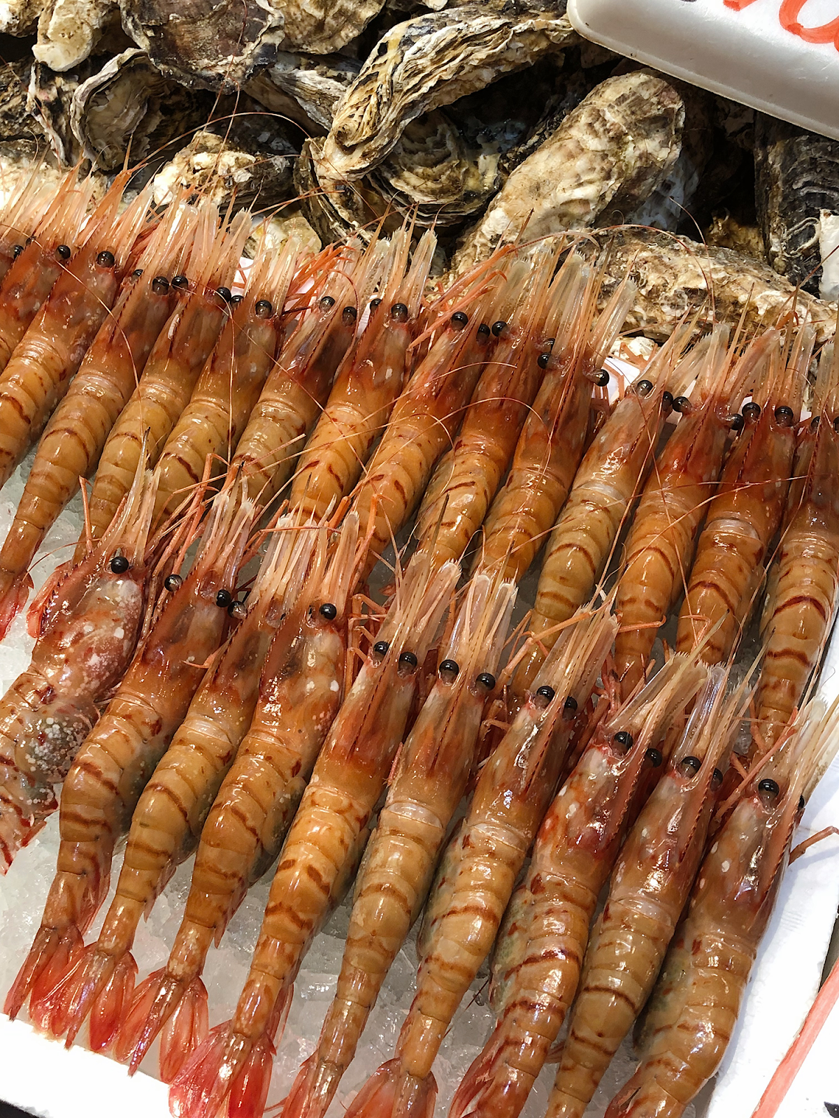 Fresh Seafood in Kanazawa Seafood in Kanazawa, Kanazawa trip from Tokyo, must-visit cities in Japan, Nishi Chaya District, Higashi Chaya District, photogenic and charming towns in Japan - FOREVERVANNY