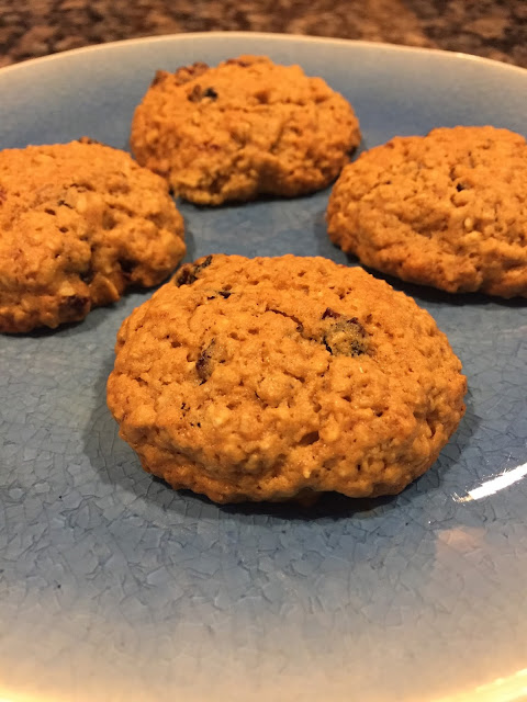 Thermomix Oatmeal Cranberry Cookies