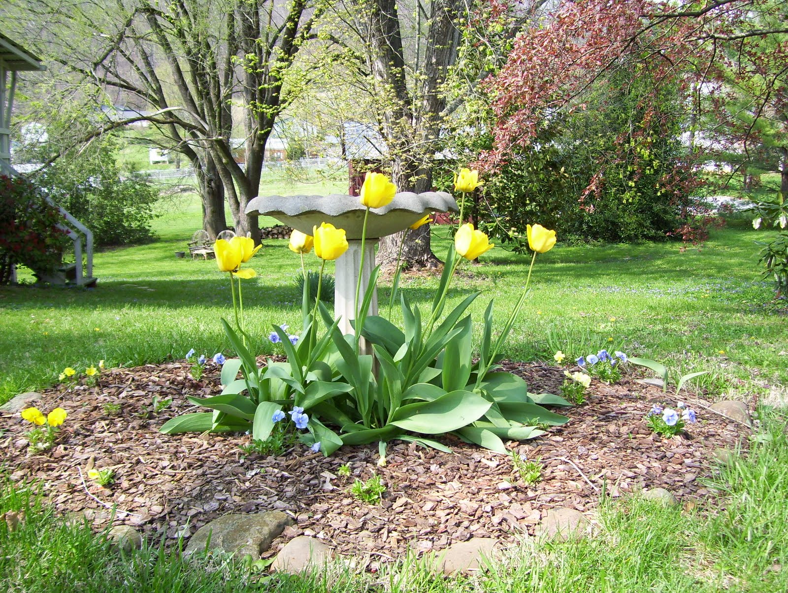 The Art of Positive Living An Appalachian Spring