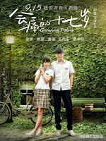 Nỗi Đau Tuổi 17