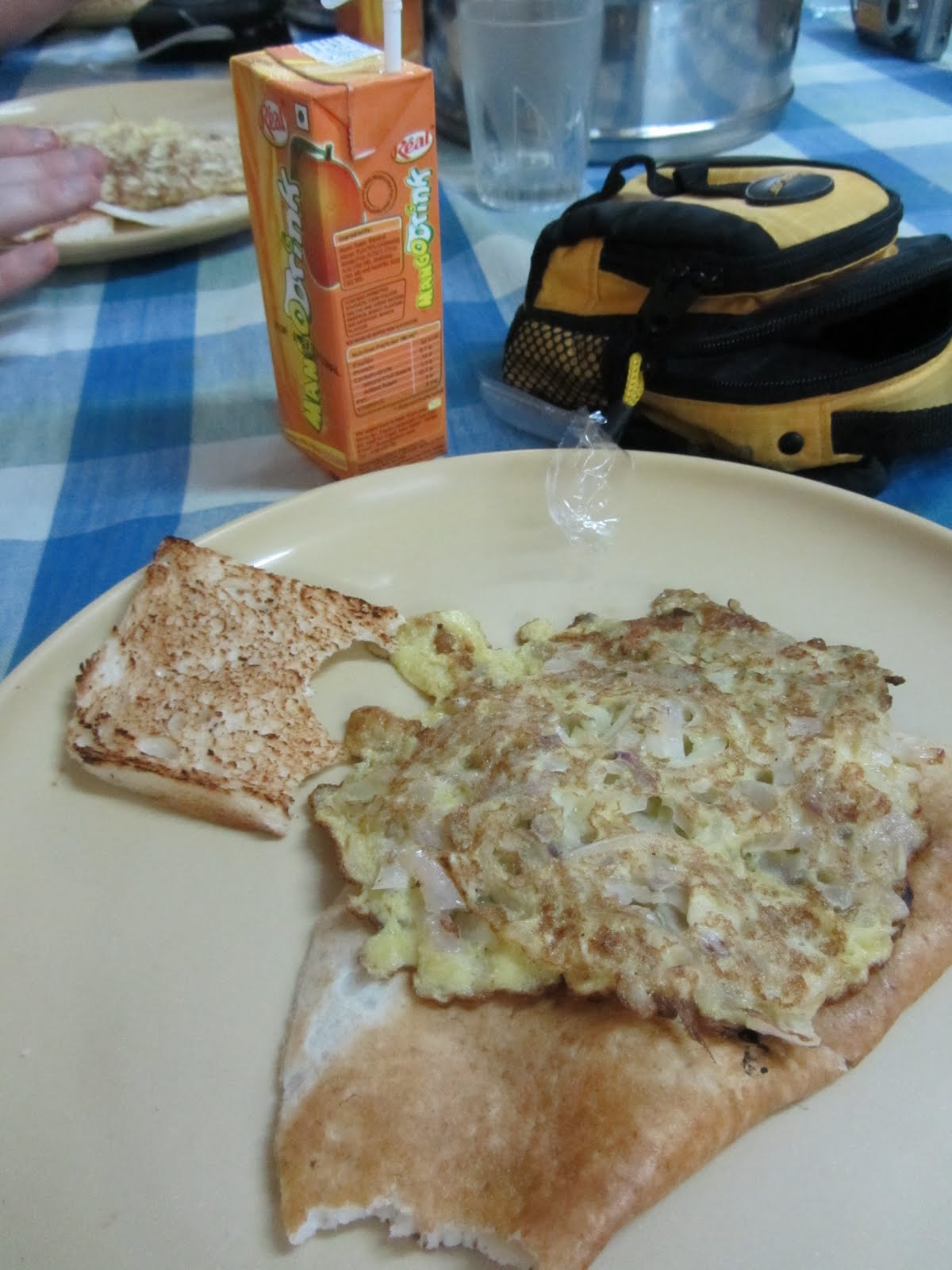 Pawsthink Indian Head Bobble