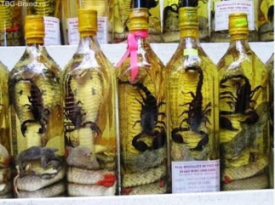Las extrañas bebidas de Vietnam: El Snake Wine o Vino de serpiente. Snake Wine Snake Wine Snake Wine