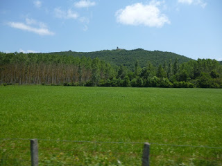 Zonas de cultivo