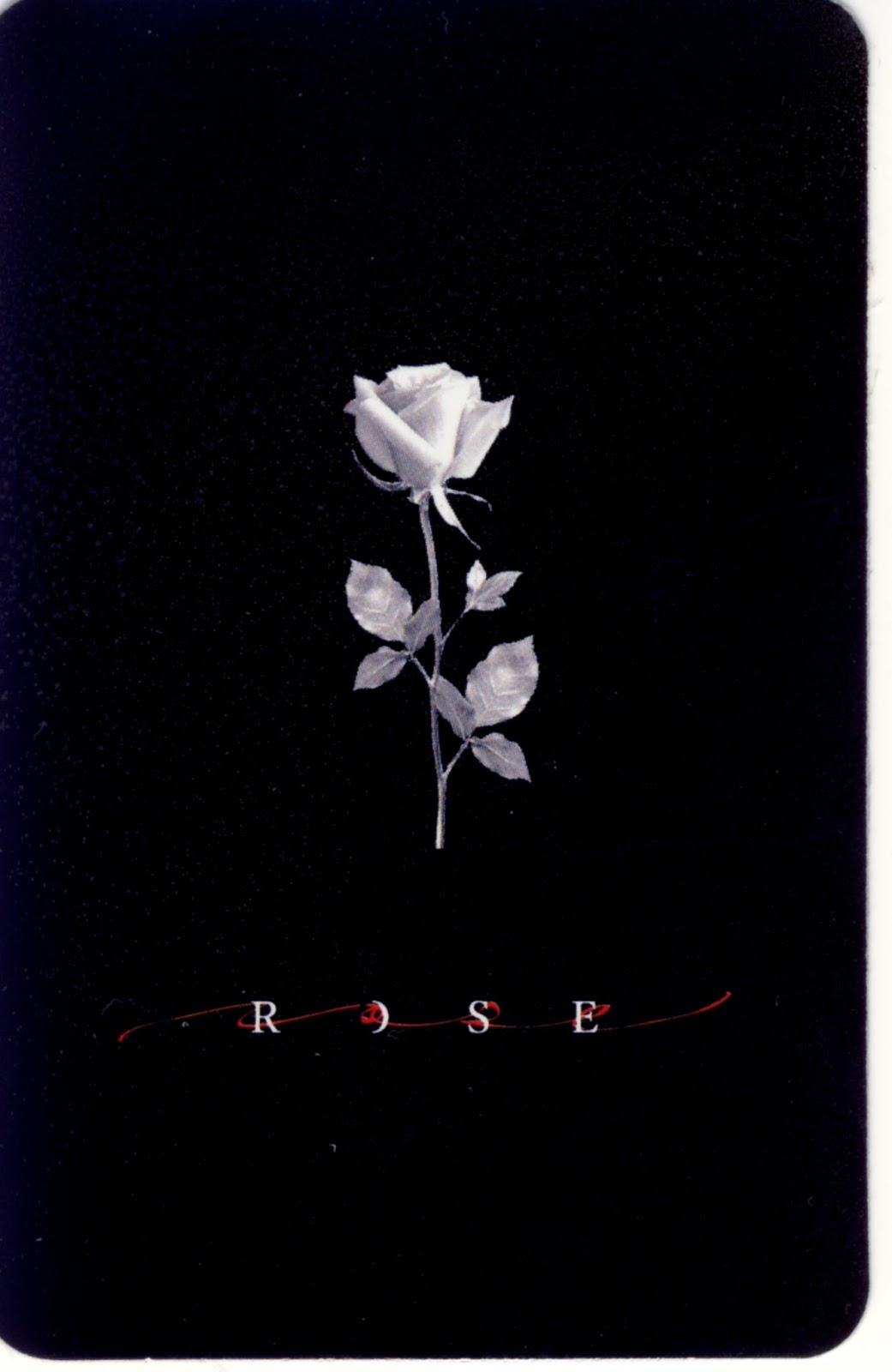 kpop scans Bang Yongguk ( B.A.P ) Rose photocard