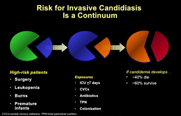 Invasive Candidiasis Health And Medical Information