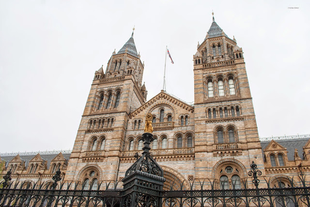 natural history museum london natural history museum london