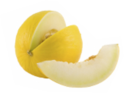 MELON