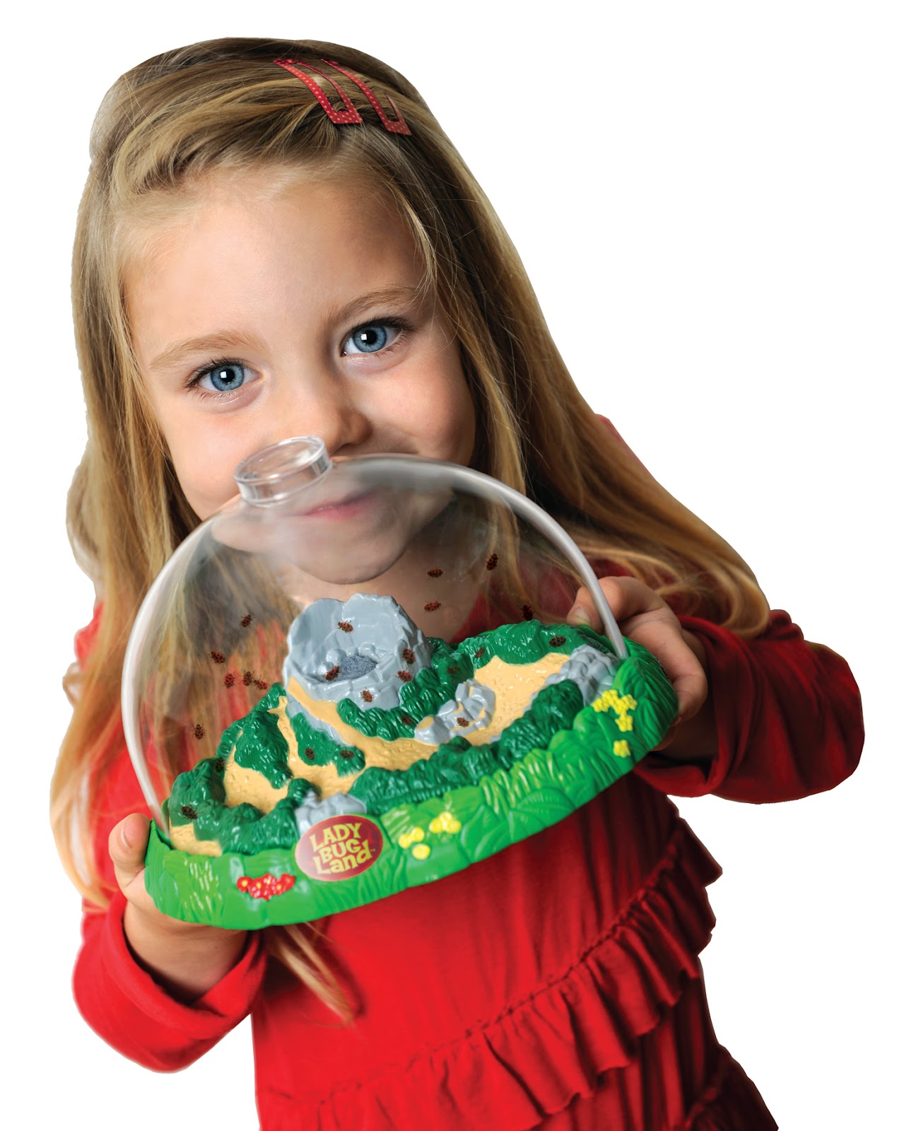 ABC & Toy Zone 6/13 Ladybug Land from InsectLore!