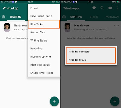 Cheat WhatsApp Chat Centang Satu