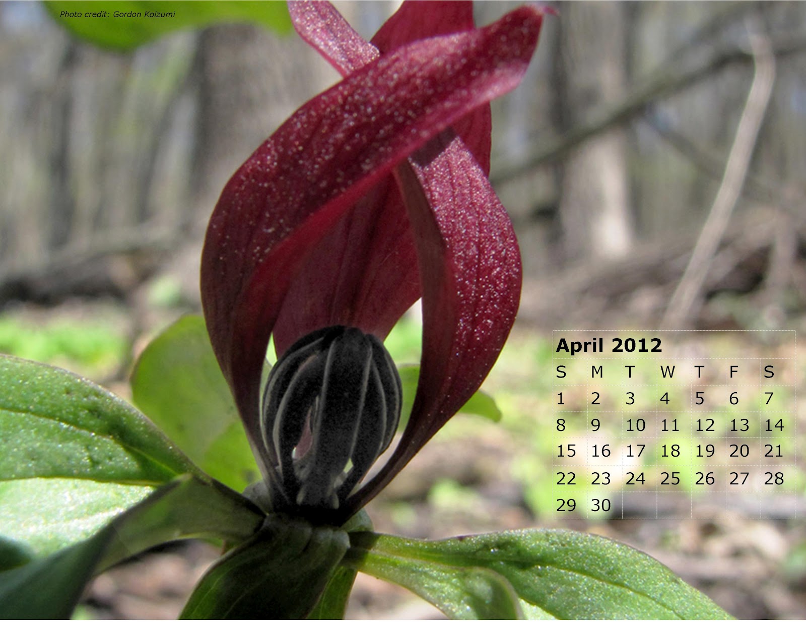 Fermilab Natural Areas April 2012
