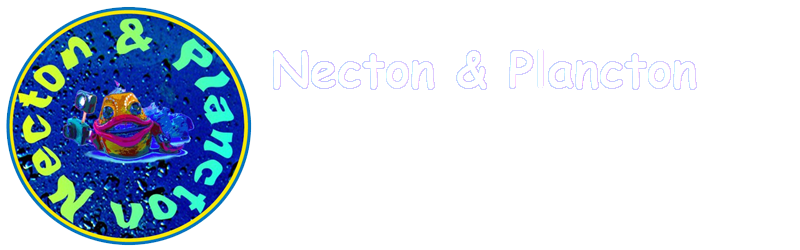 Necton e Plancton