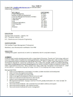 cv pattern free director resume pattern in word format free cv pattern free director resume pattern in word format free