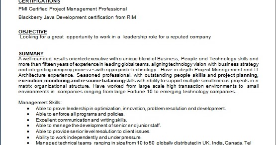 director resume pattern in word format free download director of business development resume