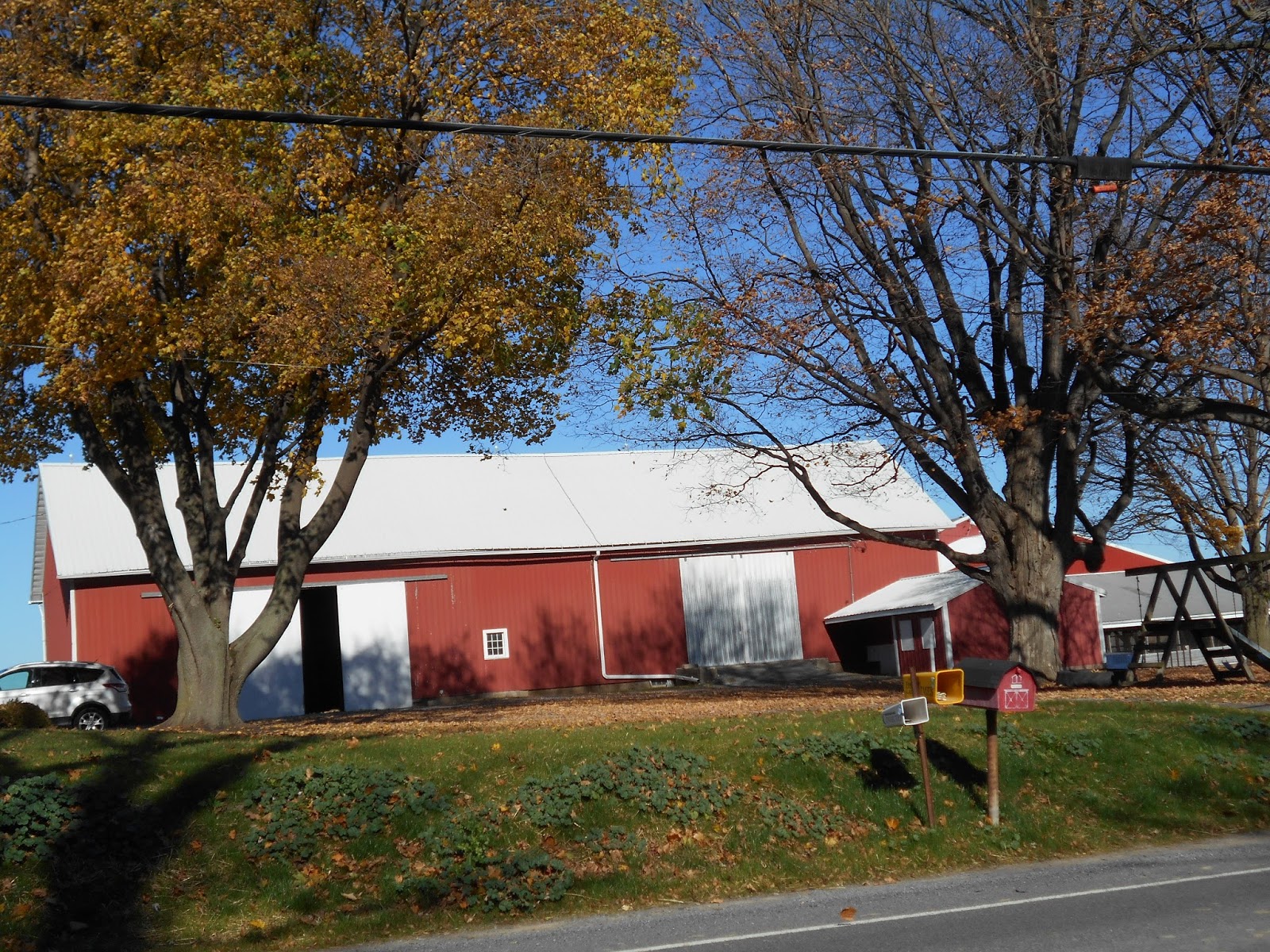 New York State of Mind LARGEST DAIRY FARM I EVER SAW