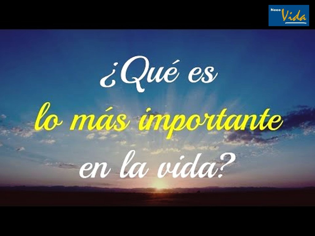 Neco Vida Un Momento Lo Mas Importante En La Vida