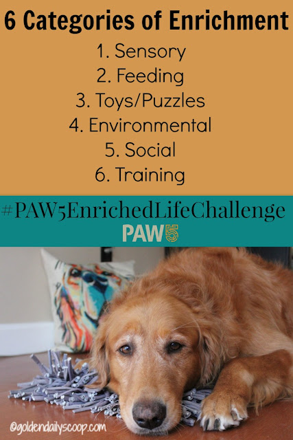 PAW5 Enriched Life Challenge for Dogs six categories of enrichment for your dog to become healthier and happier