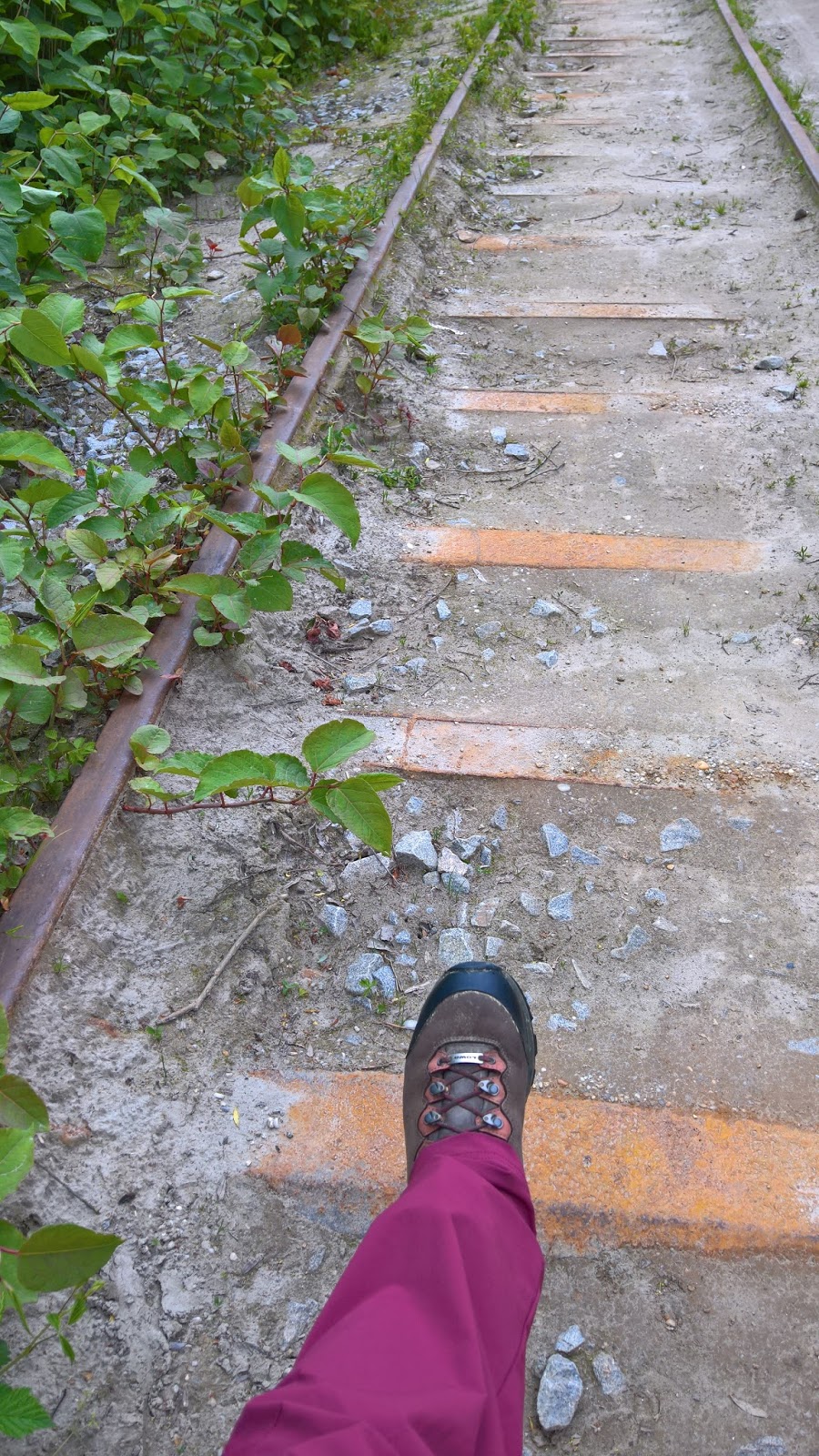 Rechtsunten Bootsparties Sommer 2016