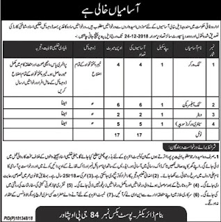 Federal Govt Announced Latest Jobs Dec 2018