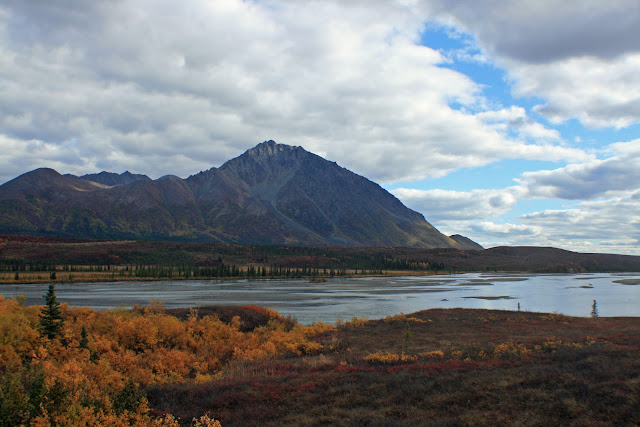 DENALI HIGHWAY - LA ULTIMA FRONTERA. CRONICAS DE ALASKA (7)