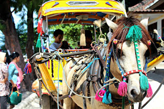 Pesona Gili Trawangan