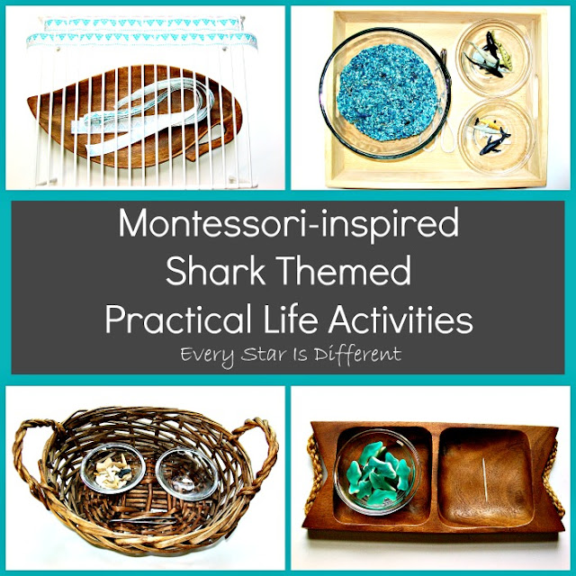Montessori-inspired Shark Themed Practical Life Activities