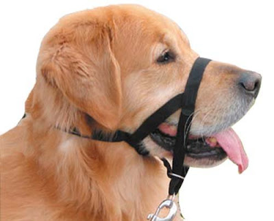 Head collars for Dogs Pets