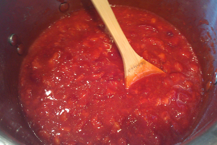 A Delightful Journey Jam Beginners Edition