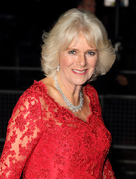 Royal Family Around the World: Prince Charles, Prince of Wales and