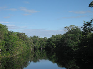 Rio Maracá
