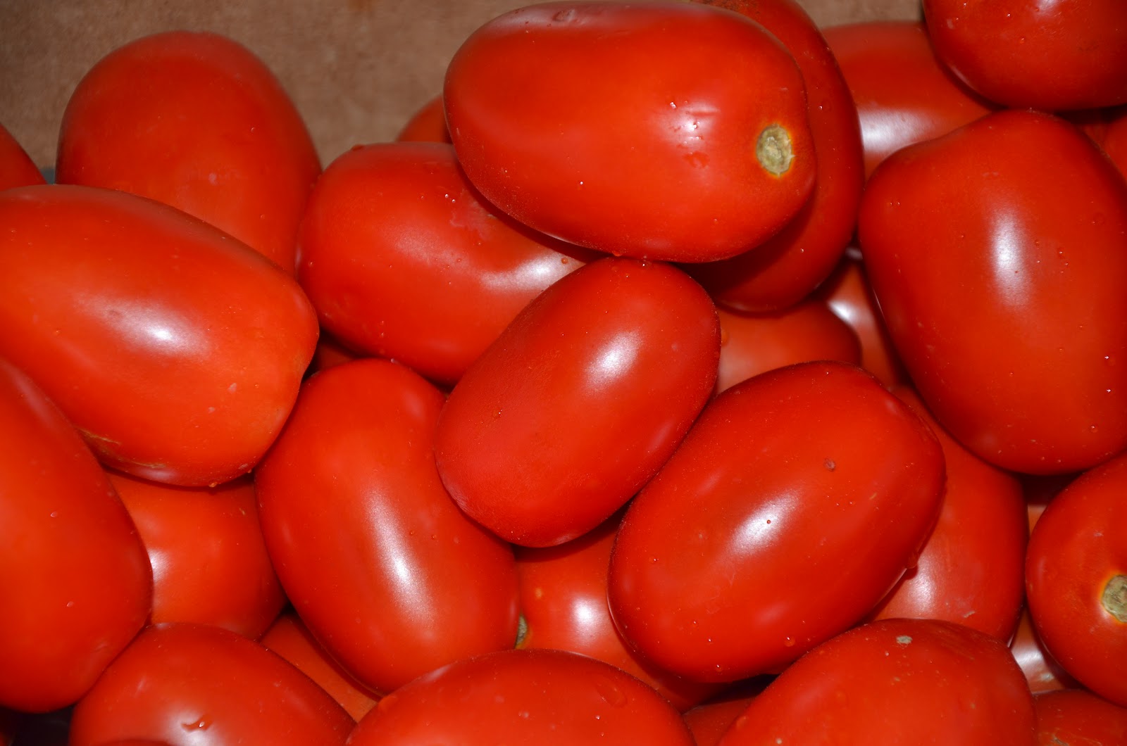 The Resting Cook Busy Day Stewed Plum Tomatoes